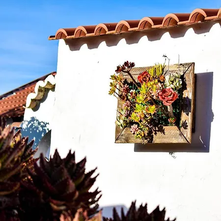 Casinhas Da Figueira *