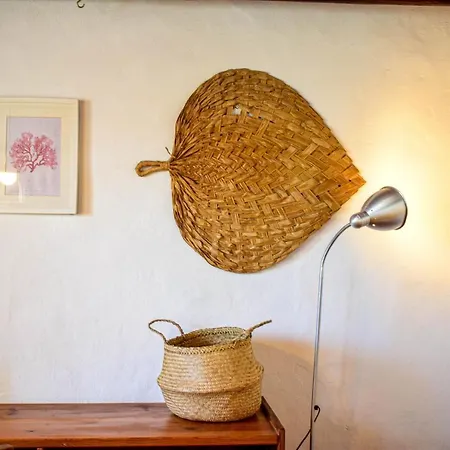 Casinhas Da Figueira