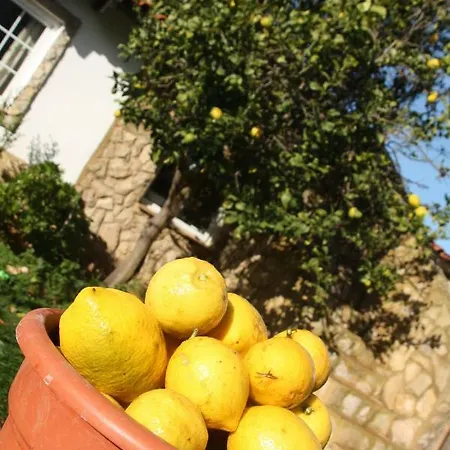 Casinhas Da Figueira Casa vacanze Budens