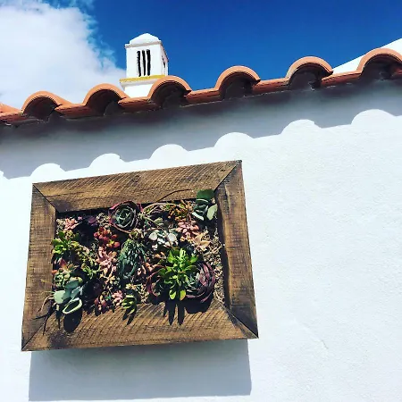 Casinhas Da Figueira Casa vacanze