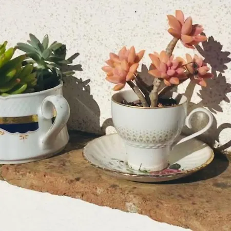 Vakantiehuis Casinhas Da Figueira