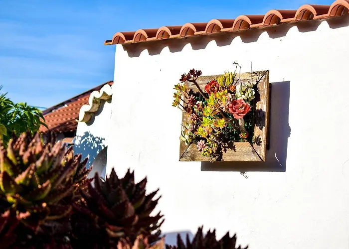 Casinhas Da Figueira *