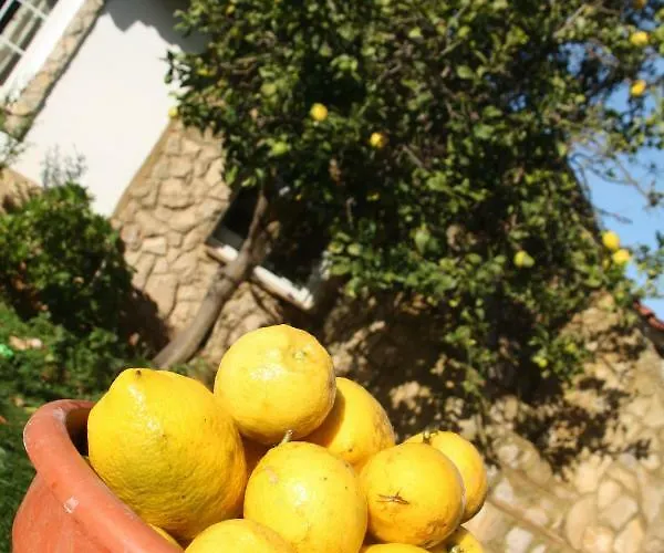 Casinhas Da Figueira Hébergement de vacances Budens