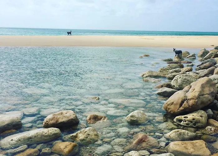 Hébergement de vacances Casinhas Da Figueira *