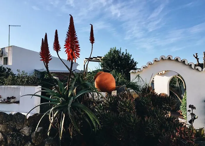 Casinhas Da Figueira