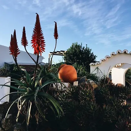 Casinhas Da Figueira